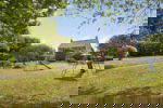 Rear Garden in Summertime